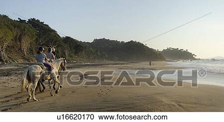 Tourists riding horses on the beach, Sayulita, Nayarit, Mexico View Large Photo Image Stock Image - Tourists riding horses on the beach, Sayulita, Nayarit, Mexico. Fotosearch