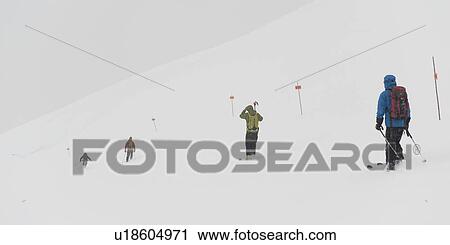 Stock Image - Tourists skiing, Whistler Mountain, Whistler, British Columbia, Canada. Fotosearch