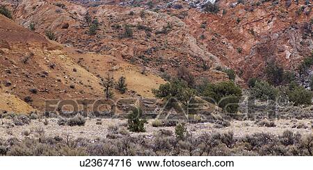 Trees on a mountain, House Rock Valley Road, Utah, USA View Large Photo Image Stock Photograph - Trees on a mountain, House Rock Valley Road, Utah, USA. Fotosearch