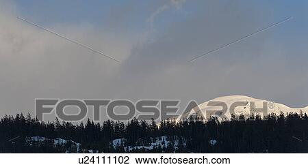 Stock Image - Trees with snow covered mountain in winter, Whistler, British Columbia, Canada. Fotosearch