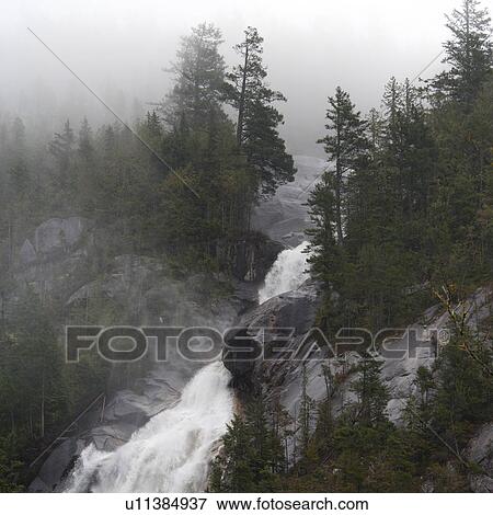 Stock Photo - Waterfall in a forest, Shannon Falls, Shannon Falls Provincial Park, British Columbia, Canada. Fotosearch