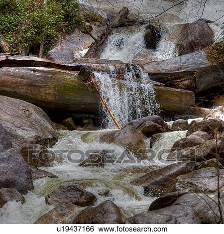 Waterfall, Shannon Falls Provincial Park, British Columbia, Canada View Large Photo Image Stock Photograph - Waterfall, Shannon Falls Provincial Park, British Columbia, Canada. Fotosearch