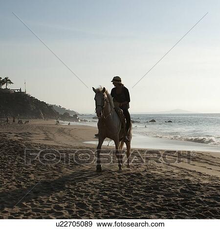 Woman riding a horse on the beach, Sayulita, Nayarit, Mexico View Large Photo Image Stock Photo - Woman riding a horse on the beach, Sayulita, Nayarit, Mexico. Fotosearch