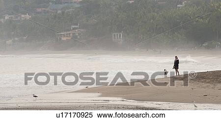 Woman standing on the beach with a dog, Sayulita, Nayarit, Mexico View Large Photo Image Stock Photography - Woman standing on the beach with a dog, Sayulita, Nayarit, Mexico. Fotosearch