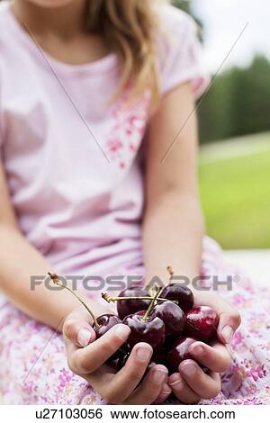 Stock Photograph - Close-up of hands full with bing cherries. Fotosearch