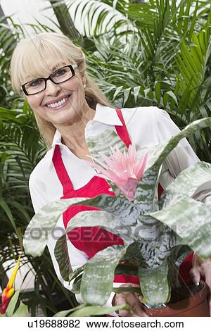 Portrait of a happy senior woman standing behind flower plant in greenhouse View Large Photo Image Stock Image - Portrait of a happy senior woman standing behind flower plant in greenhouse. Fotosearch