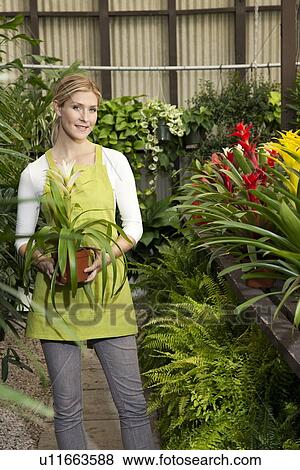 Stock Photo - Portrait of a happy young woman standing with potted plant in greenhouse. Fotosearch