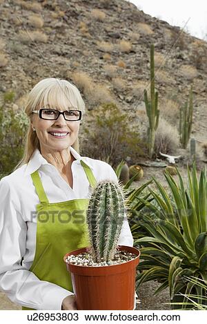 Portrait of a senior gardener holding potted cactus plant View Large Photo Image Stock Image - Portrait of a senior gardener holding potted cactus plant. Fotosearch
