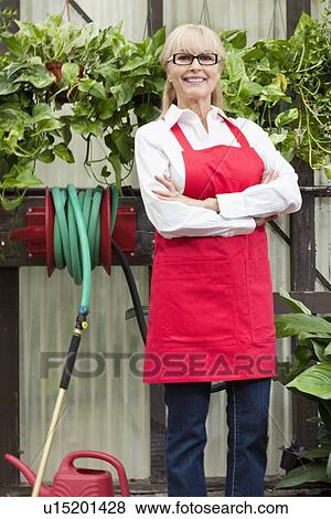 Portrait of a senior gardener with arms crossed in greenhouse View Large Photo Image Stock Photo - Portrait of a senior gardener with arms crossed in greenhouse. Fotosearch