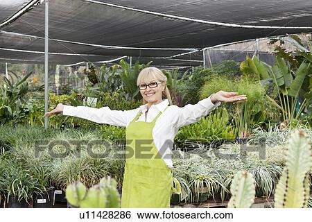 Portrait of a senior woman standing with arms outstretched in garden center View Large Photo Image Stock Photograph - Portrait of a senior woman standing with arms outstretched in garden center. Fotosearch