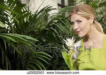 Stock Image - Portrait of a young woman smelling flower in garden center. Fotosearch