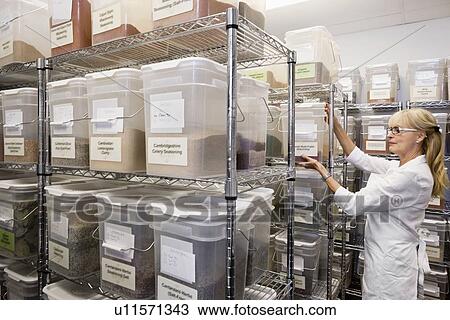 Senior female employee in spice storage room View Large Photo Image Stock Image - Senior female employee in spice storage room. Fotosearch
