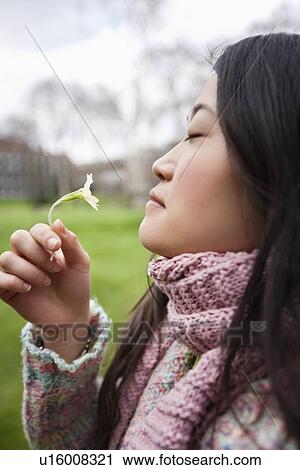 Side view of a young Asian woman smelling flower in park View Large Photo Image Stock Image - Side view of a young Asian woman smelling flower in park. Fotosearch