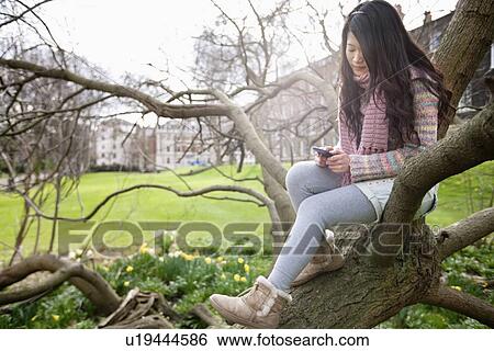 Young woman sitting on tree branch while text messaging View Large Photo Image Stock Photograph - Young woman sitting on tree branch while text messaging. Fotosearch