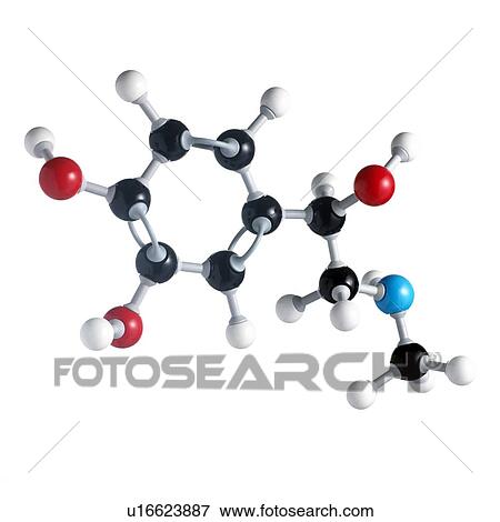 Stock Photo - Adrenaline molecule. Atoms are represented as spheres and are colour-coded: carbon (black), hydrogen (white), nitrogen (blue) and oxygen (red).. Fotosearch