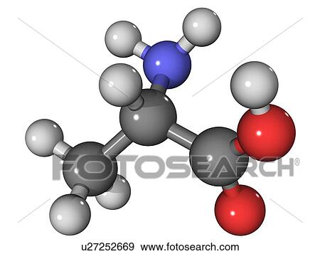 Alanine. Molecular model of the amino acid alanine. Atoms are represented as spheres and are colour-coded: carbon (grey), hydrogen (white), oxygen (red) and nitrogen (blue). View Large Photo Image Stock Photo - Alanine. Molecular model of the amino acid alanine. Atoms are represented as spheres and are colour-coded: carbon (grey), hydrogen (white), oxygen (red) and nitrogen (blue).. Fotosearch