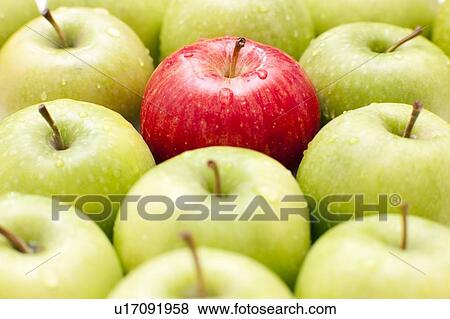 Stock Photo - Apples.. Fotosearch