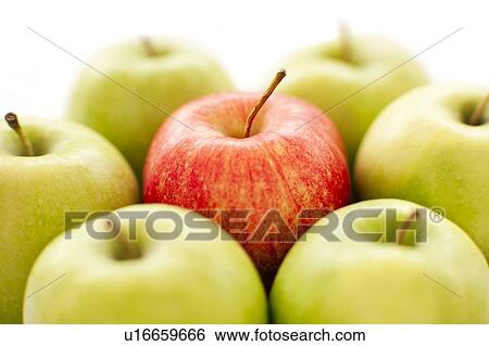 Stock Photograph - Apples.. Fotosearch
