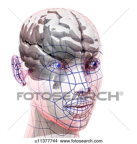 Artificial intelligence, conceptual computer artwork. View Large Photo Image Picture - Artificial intelligence, conceptual computer artwork.. Fotosearch