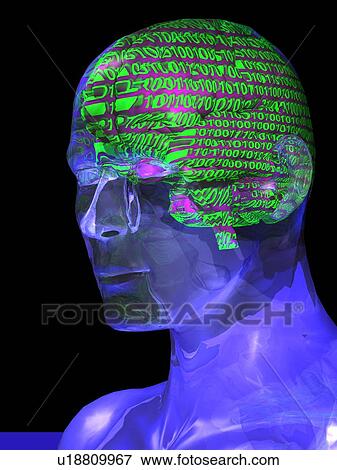Artificial intelligence, conceptual computer artwork. View Large Photo Image Stock Photo - Artificial intelligence, conceptual computer artwork.. Fotosearch