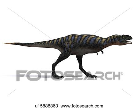 Stock Image - Aucasaurus dinosaur. Computer artwork of an Aucasaurus, a medium sized dinosaur from Argentina that existed during the late Cretaceous, around 100 to 65 million years ago.. Fotosearch