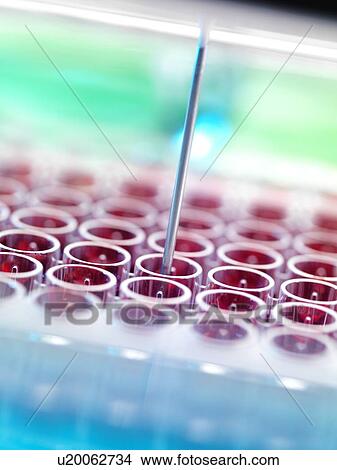 Automated blood screening. View Large Photo Image Picture - Automated blood screening.. Fotosearch