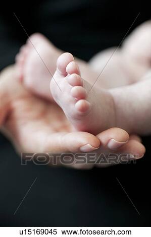 Stock Photography - Baby's feet. Mother holding her 2 month old baby's feet.. Fotosearch