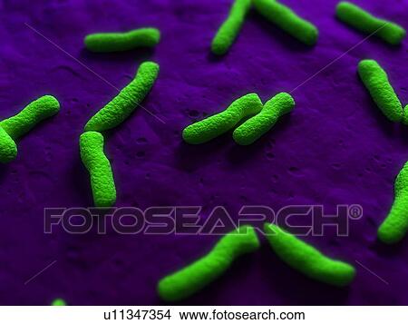 Picture - Bacteria, conceptual computer artwork.. Fotosearch