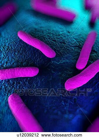 Stock Image - Bacteria, conceptual computer artwork.. Fotosearch