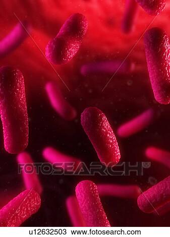 Bacteria, conceptual computer artwork. View Large Photo Image Stock Image - Bacteria, conceptual computer artwork.. Fotosearch