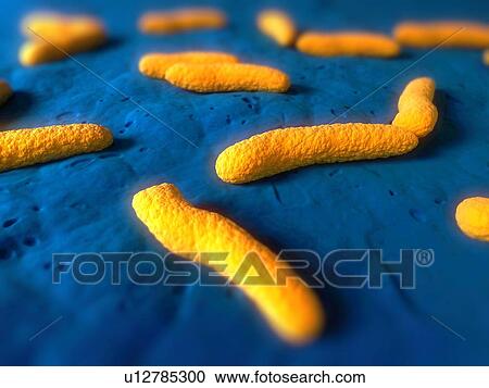 Stock Image - Bacteria, conceptual computer artwork.. Fotosearch
