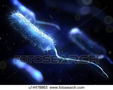 Bacteria, conceptual computer artwork. View Large Photo Image Stock Image - Bacteria, conceptual computer artwork.. Fotosearch