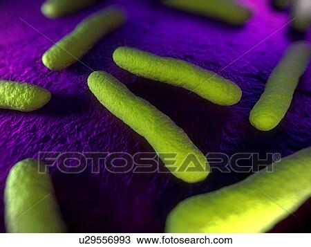 Stock Image - Bacteria, conceptual computer artwork.. Fotosearch