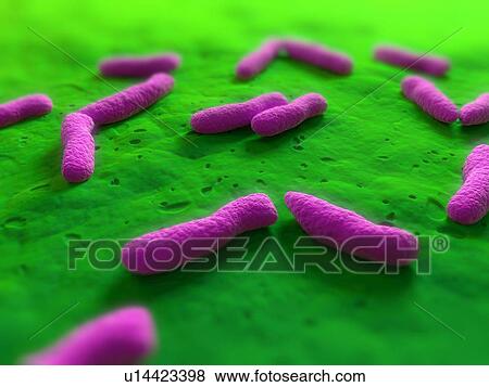 Bacteria, conceptual computer artwork. View Large Photo Image Stock Photo - Bacteria, conceptual computer artwork.. Fotosearch