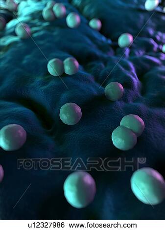 Bacteria, conceptual computer artwork. View Large Photo Image Stock Photograph - Bacteria, conceptual computer artwork.. Fotosearch