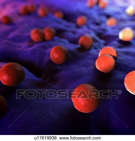 Bacteria, conceptual computer artwork. View Large Photo Image Stock Photograph - Bacteria, conceptual computer artwork.. Fotosearch