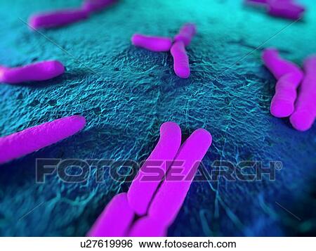 Bacteria, conceptual computer artwork. View Large Photo Image Stock Photograph - Bacteria, conceptual computer artwork.. Fotosearch