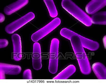 Bacteria, conceptual computer artwork. View Large Photo Image Stock Photography - Bacteria, conceptual computer artwork.. Fotosearch