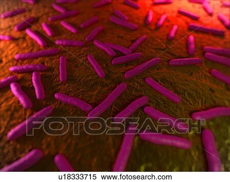 Stock Photography - Bacteria, conceptual computer artwork.. Fotosearch