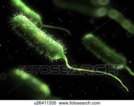 Bacteria, conceptual computer artwork. View Large Photo Image Stock Photography - Bacteria, conceptual computer artwork.. Fotosearch