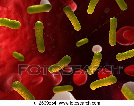 Picture - Bacterial infection. Computer artwork of bacteria (yellow) in the blood stream.. Fotosearch