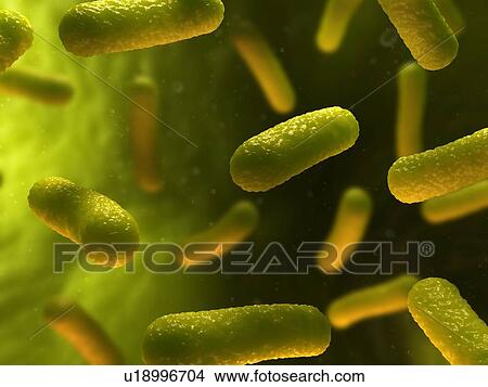 Picture - Bacterial infection, computer artwork.. Fotosearch