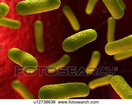 Stock Photo - Bacterial infection. Computer artwork of bacteria (yellow) in the blood stream.. Fotosearch