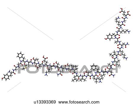 Beta-endorphin, molecular model. This neurotransmitter causes insensitivity to pain and a feeling of well being. Atoms are represented as spheres and are colour-coded: carbon (grey), hydrogen (white), oxygen (red), nitrogen (blue) and sulphur (yellow). View Large Photo Image Stock Photo - Beta-endorphin, molecular model. This neurotransmitter causes insensitivity to pain and a feeling of well being. Atoms are represented as spheres and are colour-coded: carbon (grey), hydrogen (white), oxygen (red), nitrogen (blue) and sulphur (yellow).. Fotosearch