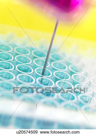 Stock Photo - Biochemistry research.. Fotosearch