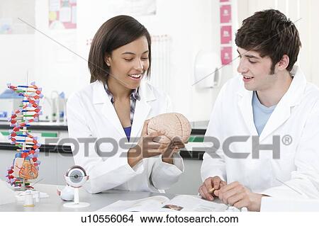 Picture - Biology lesson.. Fotosearch