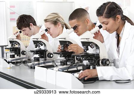 Stock Image - Biology lesson.. Fotosearch