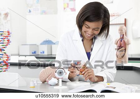 Stock Photo - Biology lesson.. Fotosearch