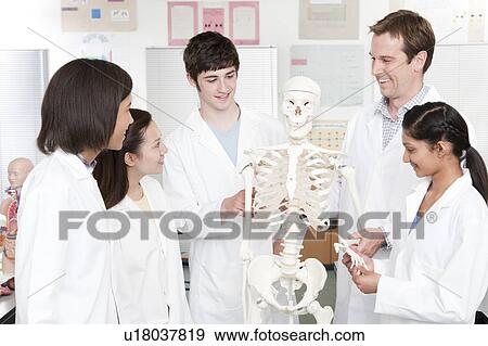 Biology lesson. View Large Photo Image Stock Photo - Biology lesson.. Fotosearch