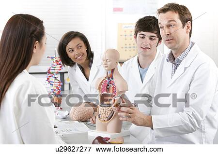 Stock Photo - Biology lesson.. Fotosearch